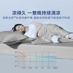 罗莱生活 罗莱 冰皮奥地利进口60支兰精天丝面料 夏日冰爽-灰色 1.8米床 （凉席*1+夏被*1+枕套*2）