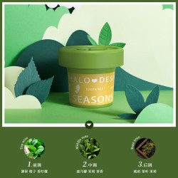 车载香薰 汽车香水  四季绿茶
