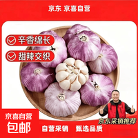 自营金乡大蒜大蒜带皮新鲜干蒜源头直发包邮 净重2斤