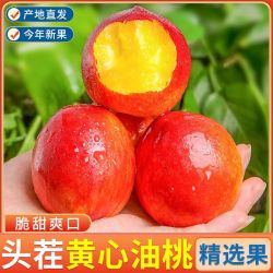 嵋岭林翔 山西黄心油桃应季新鲜水果现摘脆桃黄肉孕妇整箱批发  5斤