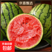 京喜自营-专用品牌 网红 当季新鲜手撕小西瓜 1.5-2斤