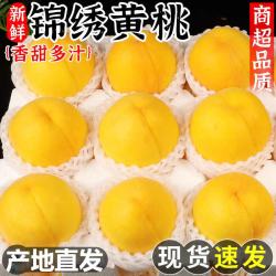 粤迎 山东蒙阴黄桃 5斤优选果 单果103g+