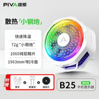 PIVA 散热器B25磁吸款