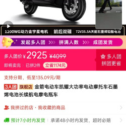 金箭 电动车凯耀大功率电动摩托车石墨烯电池长续航电摩电瓶车