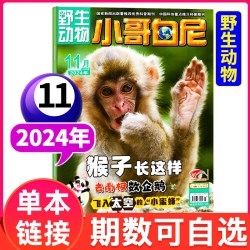 小哥白尼军事科学杂志2026年1-6月2025全年珍藏趣味科学6-15岁青