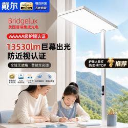 戴尔 SK-DR-9141-3 护眼台灯 1650Lux