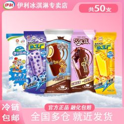 伊利 百香果凤梨苦桂香糯滋滋大布丁 50支