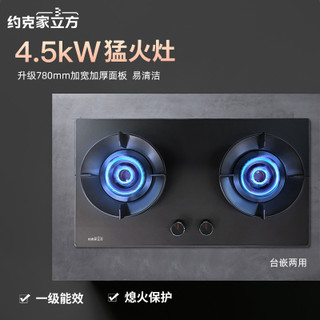 约克 ZJ22 4.5kW大火力 液化气 双灶燃气灶