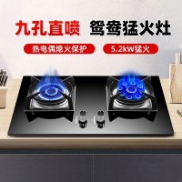 欢呼好太太 A199-2 九腔大火力 天然气 双眼燃气灶