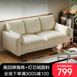 布欧格 沙发客厅小户型