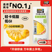 北纬47度 水果玉米 440g 220g*2根