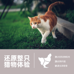 Orijen 渴望 室内伴侣猫粮成猫通用型健康体态猫粮鸡肉