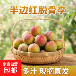 云南金沙江边半边红脱骨李新鲜采摘酸甜可口 带箱2斤