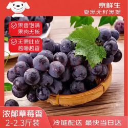 京觅 京鲜生 夏黑无籽黑提 蓝莓葡萄尝鲜装2-2.3斤 高糖低酸 生鲜水果