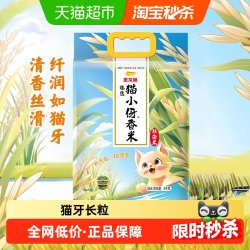 金龙鱼 猫牙香丝米5KG南方大米丝苗米 清香丝滑