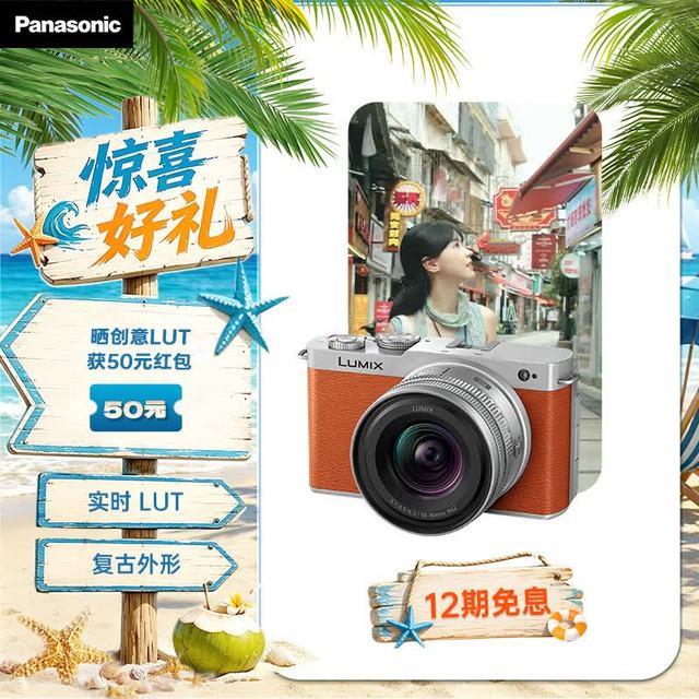 Panasonic S9（18-40mm F4.5-6.3）套机（Panasonic） 全画幅微单 实时Lut 滤镜直出