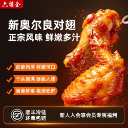 六禧全 中国大陆 新奥尔良风味对翅 500g/袋
