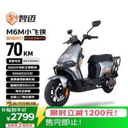 乐行电车 M6M小飞侠 2500W 60V20Ah 双碟刹电动摩托车 星球灰