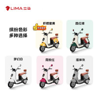 立马电动车 立马MINI 电动摩托车80KM超长续航60V20Ah铅酸电池电动车1200W电机 品红绿
