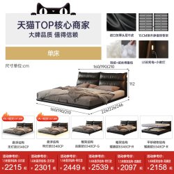 帕沙曼 8348CP-XE 真皮床 1.8米 双人床 意式极简