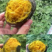 贝贝南瓜 多次复购,超级好吃,推荐