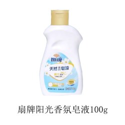 扇 牌天然皂粉酵素浓缩洗衣粉小袋去污除渍机洗阳光香氛去除霉味 580克