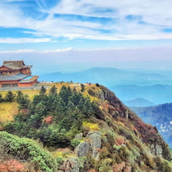 星野归途·S-Tour·度假公寓（峨眉山报国寺游客中心店）1晚+一次性浴巾/毛巾/马桶垫+雀神争霸...