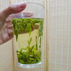龙井茶 新茶 春茶100g