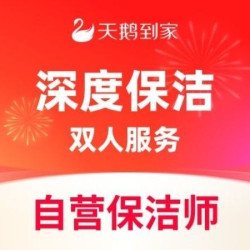 天鹅到家 4小时深度保洁|重点区域清洁+消毒+除重油污