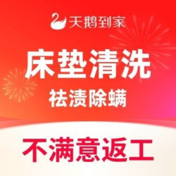 天鹅到家 双面深度清洁｜去污除渍｜祛味除螨