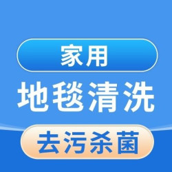英智星家政 家用地毯清洗（10平内）