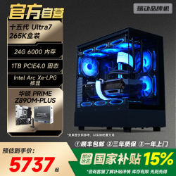 SWISSMOBILITY 265K/24G/1T游戏家用办公电脑台式整机主机