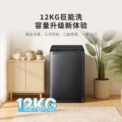 海信12Kg大容量波轮洗衣机活水洗除螨除毛屑一级能效家用租房