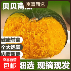 京喜 正宗贝贝南瓜 带箱 2斤