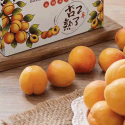 京鲜生 新疆吊干杏 净重2斤 单果12g+