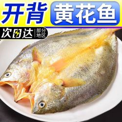 布七客 BUQIKE 布七客 宁德开背黄花鱼 新鲜冷冻