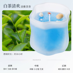 手工大豆蜡香氛蜡烛摆件