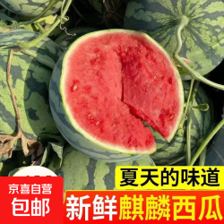 正宗安徽砀山无籽美都麒麟西瓜 5-7斤/个