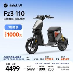 九号 FZ3 110 电动自行车 到店自提