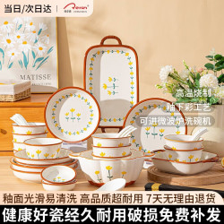CERAMICS 陶瓷餐具整套家用简约釉下彩碗筷套装乔迁送礼 42头山菊花礼盒装