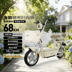 金箭 超长续航 电动自行车