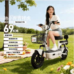 驰小虎 长续航 电动自行车  铅酸电池 茶白 20Ah 48V