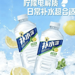 东鹏 特饮电解质饮料运动健身补水啦柠檬味300ML*6
