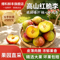 爆料鲜丰 正宗半边红李子 5斤 单果15-20克
