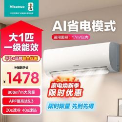 海信 大1匹新一级能效变频自清洁防直吹低音大风量空调