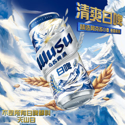 乌苏啤酒 白啤酒 500ml*12听