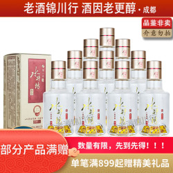 水井坊 摆柜自饮小酌 浓香型白酒  单瓶装 100ml 52度