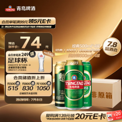青岛啤酒 啤酒组合装  整箱装 500mL