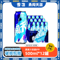 雪花 BEER 雪花 SNOWBEER BEER BEER 勇闯天涯 啤酒 500ml*12听