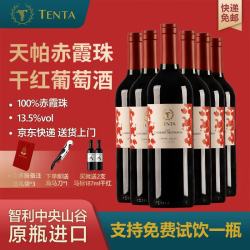 TENPA TENTA）智利中央山谷原瓶红酒天帕卡曼妮干红葡萄酒13.5度750ml 2瓶